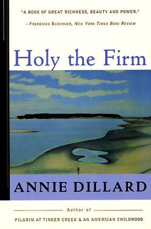 Holy the Firm de Annie Dillard