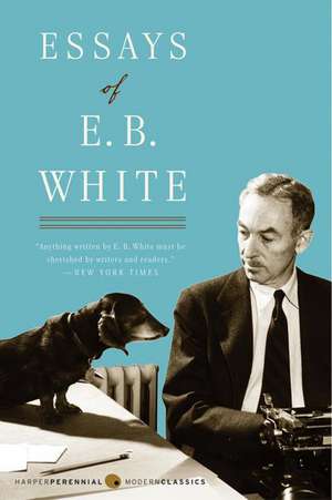 Essays of E. B. White de E. B White