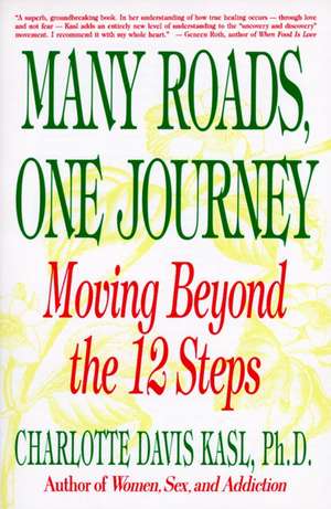 Many Roads One Journey: Moving Beyond the Twelve Steps de Charlotte S Kasl