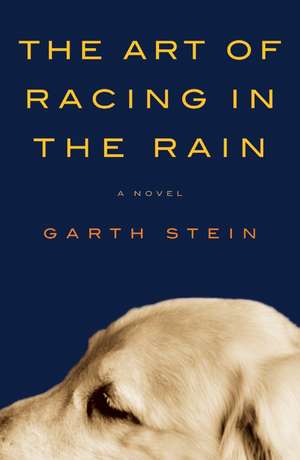 The Art of Racing in the Rain de Garth Stein