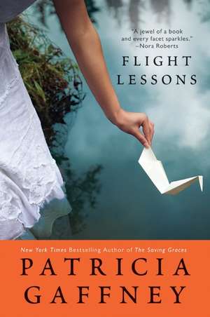 Flight Lessons de Patricia Gaffney