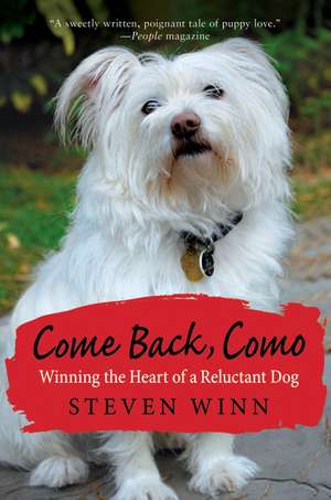 Come Back, Como: Winning the Heart of a Reluctant Dog de Steven Winn