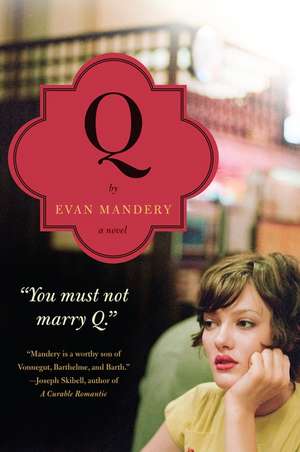 Q: A Novel de Evan Mandery