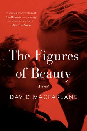 The Figures of Beauty: A Novel de David Macfarlane