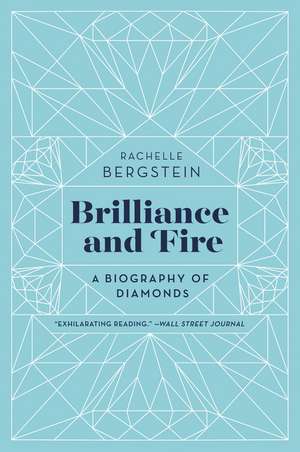 Brilliance and Fire: A Biography of Diamonds de Rachelle Bergstein