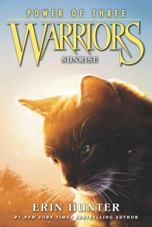 Sunrise: Warriors: Power of Three vol 6 de Erin Hunter