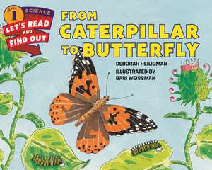 From Caterpillar to Butterfly de Deborah Heiligman