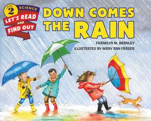 Down Comes the Rain de Dr. Franklyn M. Branley