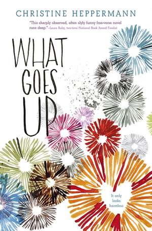 What Goes Up de Christine Heppermann