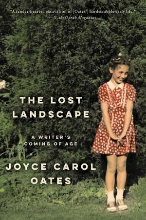 Lost Landscape, The de Joyce Carol Oates