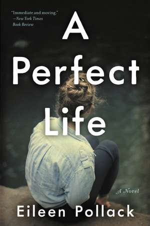 A Perfect Life: A Novel de Eileen Pollack