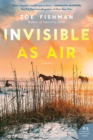 Invisible as Air: A Novel de Zoe Fishman