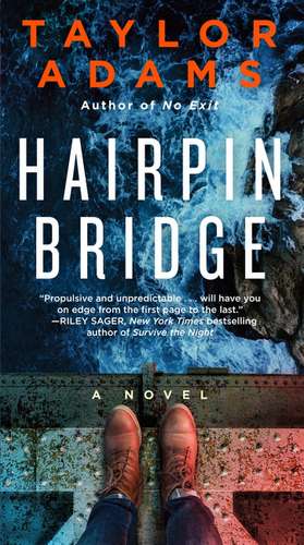 Hairpin Bridge: A Novel de Taylor Adams