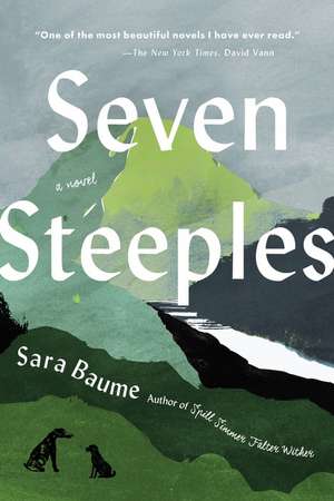 Seven Steeples: A Novel de Sara Baume