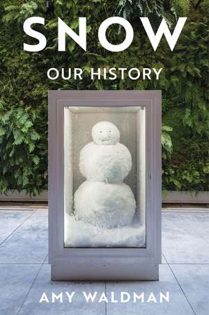 Snow de Amy Waldman
