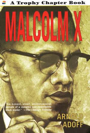 Malcolm X de Arnold Adoff