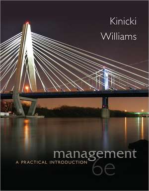 Management: A Practical Introduction de Angelo Kinicki