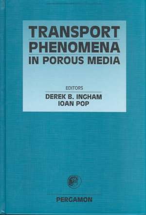 Transport Phenomena in Porous Media de Derek Bingham