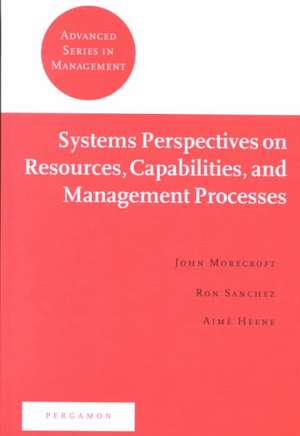 Systems Perspectives on Resources, Capabilities, and Management Processes de John Morecroft