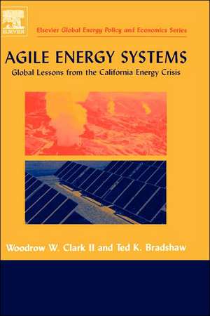 Agile Energy Systems: Global Lessons from the California Energy Crisis de Woodrow W. Clark II