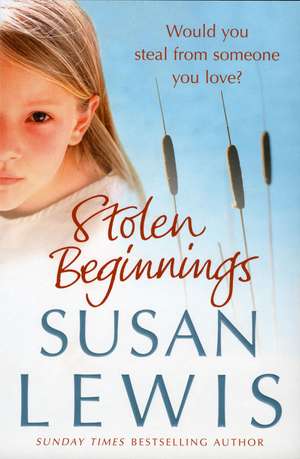 Lewis, S: Stolen Beginnings de Susan Lewis