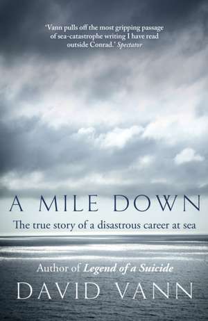 A Mile Down de David Vann