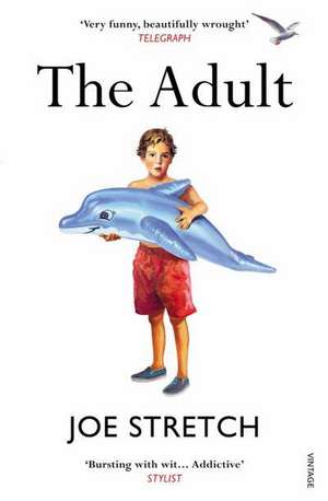 The Adult de Joe Stretch