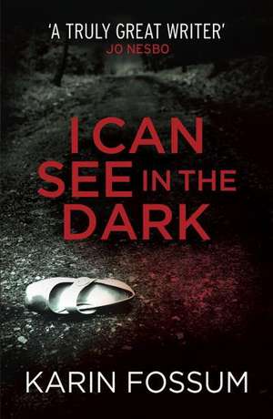 I Can See in the Dark de Karin Fossum