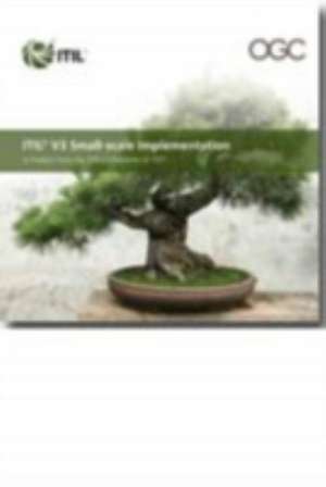 Itil V3 Small-Scale Implementation Book: Business View on Successful It Delivery V. 2 de Great Britain: Office of Government Commerce