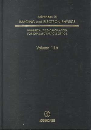 Advances in Imaging and Electron Physics de Peter W. Hawkes