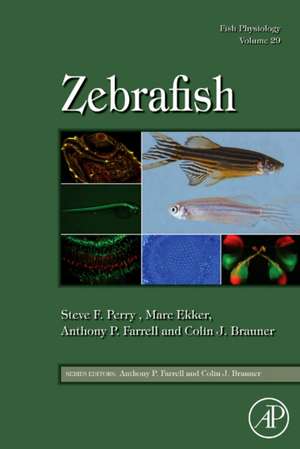 Fish Physiology: Zebrafish de Steve F. Perry