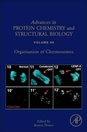 Organisation of Chromosomes de Rossen Donev