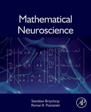 Mathematical Neuroscience de Stanislaw Brzychczy