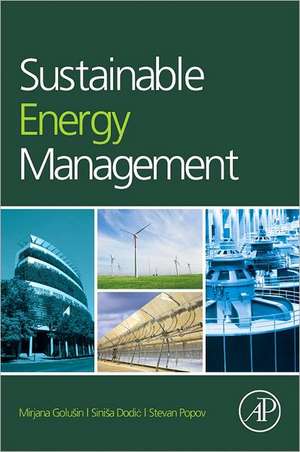 Sustainable Energy Management de Mirjana Radovanovic