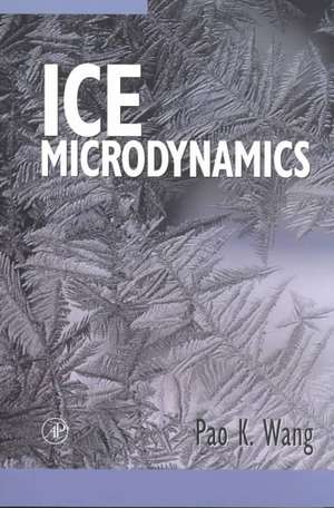 Ice Microdynamics de Pao K. Wang