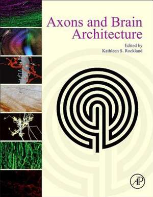 Axons and Brain Architecture de Kathleen Rockland