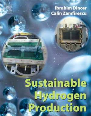 Sustainable Hydrogen Production de Ibrahim Dincer