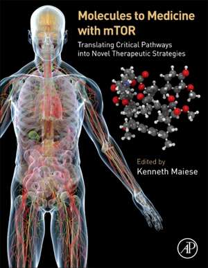 Molecules to Medicine with mTOR: Translating Critical Pathways into Novel Therapeutic Strategies de Kenneth Maiese