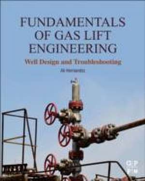 Fundamentals of Gas Lift Engineering: Well Design and Troubleshooting de Ali Hernandez