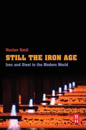 Still the Iron Age: Iron and Steel in the Modern World de Vaclav Smil