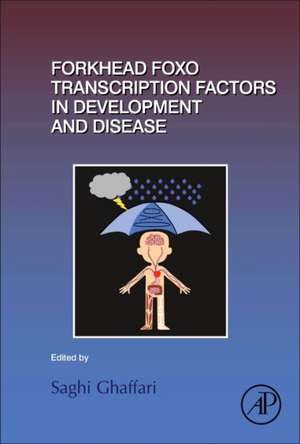 Forkhead FOXO Transcription Factors in Development and Disease de Saghi Ghaffari