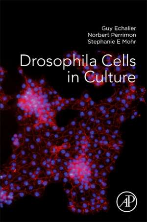 Drosophila Cells in Culture de Guy Echalier