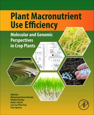 Plant Macronutrient Use Efficiency: Molecular and Genomic Perspectives in Crop Plants de Mohammad Anwar Hossain