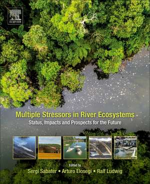 Multiple Stressors in River Ecosystems: Status, Impacts and Prospects for the Future de Sergi Sabater