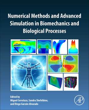 Numerical Methods and Advanced Simulation in Biomechanics and Biological Processes de Miguel Cerrolaza