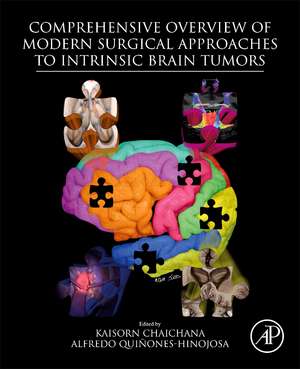 Comprehensive Overview of Modern Surgical Approaches to Intrinsic Brain Tumors de Kaisorn Chaichana