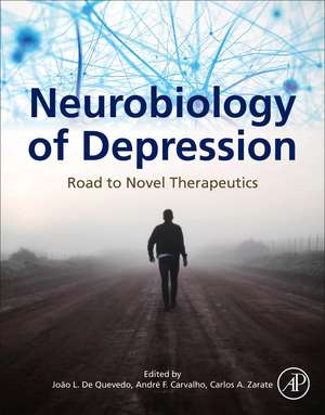 Neurobiology of Depression: Road to Novel Therapeutics de Joao L. de Quevedo