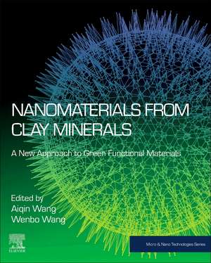 Nanomaterials from Clay Minerals: A New Approach to Green Functional Materials de Aiqin Wang