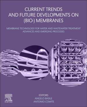 Current Trends and Future Developments on (Bio-) Membranes: Membrane Technology for Water and Wastewater Treatment - Advances and Emerging Processes de Angelo Basile