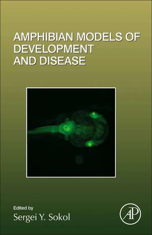 Amphibian Models of Development and Disease de Sergei Y. Sokol